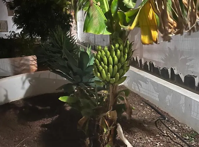 Estudio Costa Del Silencio Chayofita Apartman *